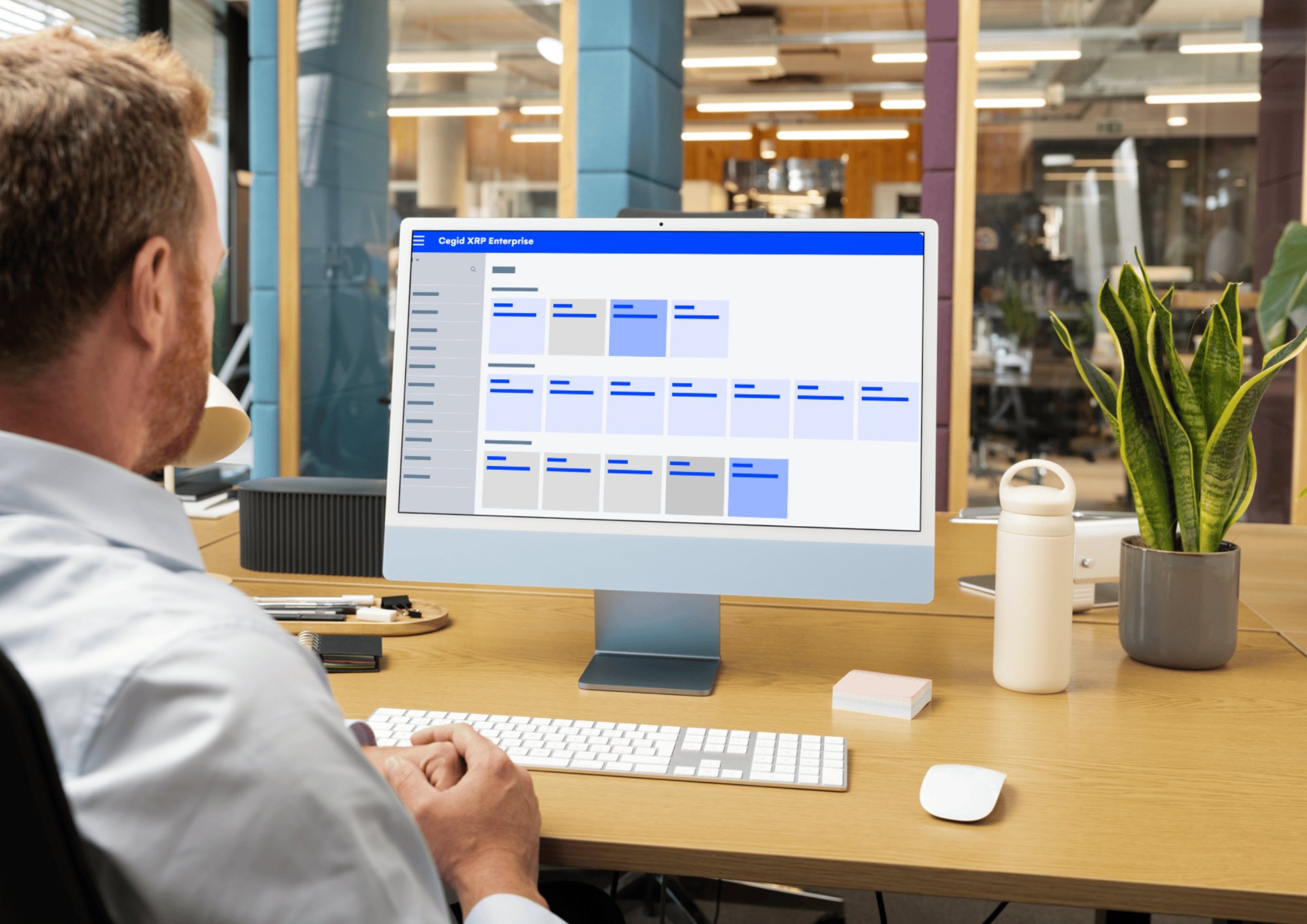 Profesional trabajando con Cegid XRP Enterprise en monitor de escritorio